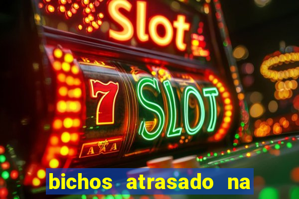 bichos atrasado na loteria dos sonhos